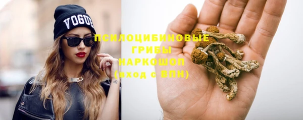 герыч Бронницы